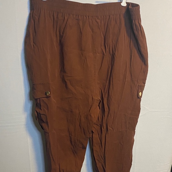 INC International Concepts  Tan Cargo Pants - Picture 7 of 8